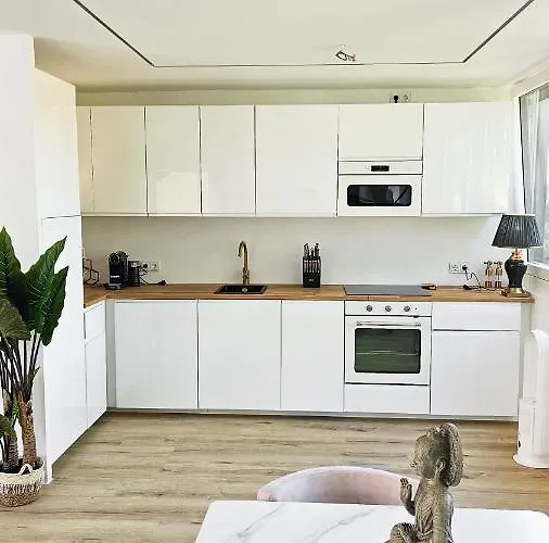 Luxus Dachgeschoss 80M² City Wohnung